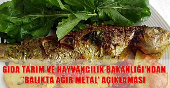 Gıda Tarım ve Hayvancılık Bakanlığı'ndan 'balıkta ağır metal' açıklaması