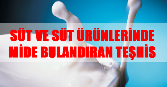Süt ve süt Ürünlerinde Mide Bulandıran Teşhis