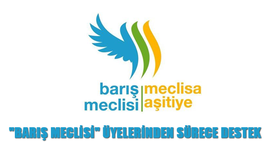 “Barış Meclisi“ üyelerinden sürece destek
