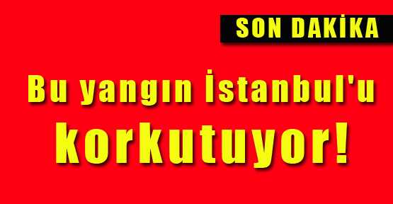Bu yangın İstanbul'u korkutuyor... 7 ilçeden itfaiye ekipleri gidiyor