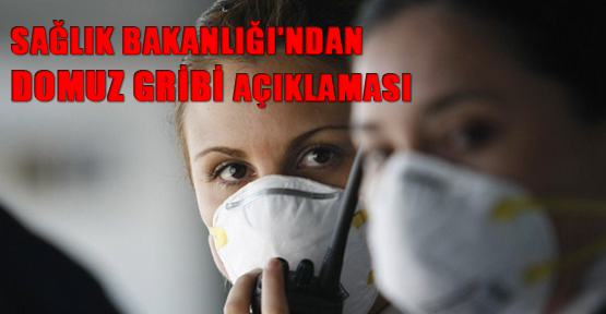 Sağlık Bakanlığı'ndan domuz gribi açıklaması