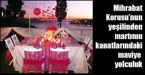 Mihrabat Korusu’nun yeşilinden martının kanatlarındaki maviye yolculuk