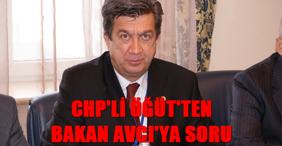 CHP'li Öğüt'ten Bakan Avcı'ya soru