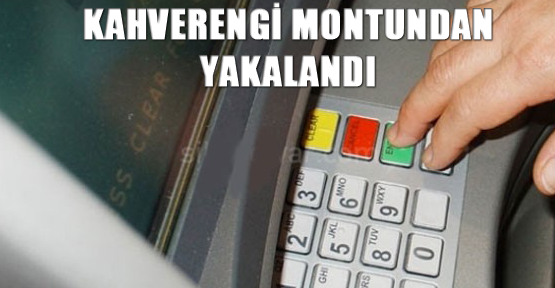 Kahverengi montundan yakalandı