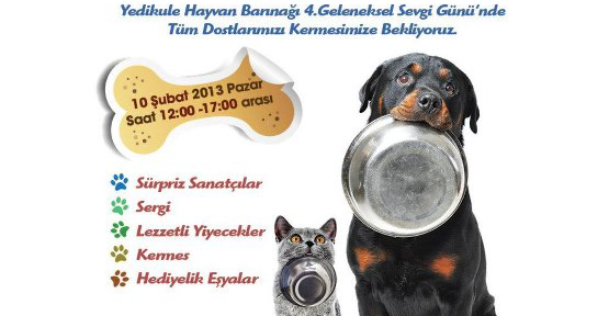 Onlar sevgiye muhtaç