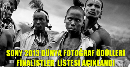 Sony 2013 Dünya Fotoğraf Ödülleri