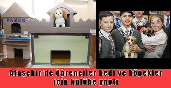 Ataşehir'de öğrenciler kedi ve köpekler için kulübe yaptı