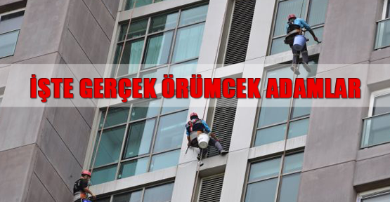 İşte gerçek örümcek adamlar