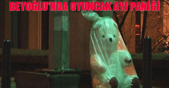 Beyoğlu'nda oyuncak ayı paniği