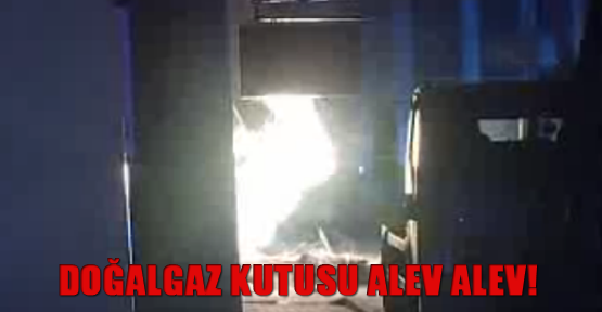 Doğalgaz kutusu alev alev!