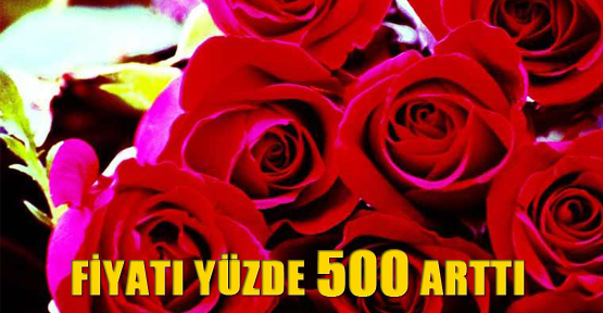 Fiyatı yüzde 500 arttı
