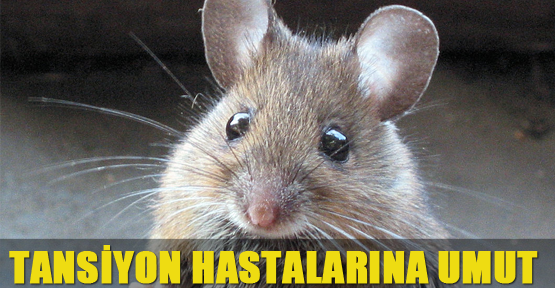 Tansiyon hastalarına yeni umut