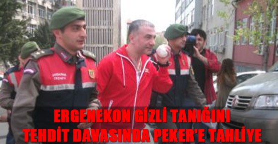 Ergenekon davasının gizli tanığını tehdit davasında Peker'e tahliye