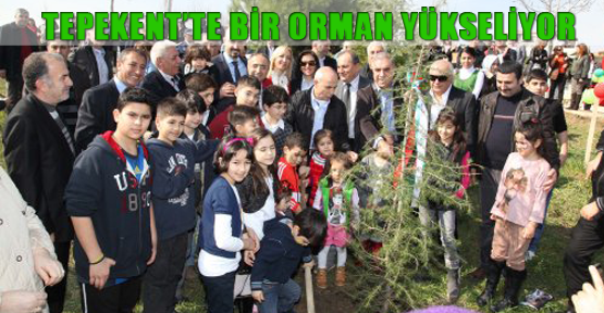 Tepekent’te bir orman yükseliyor
