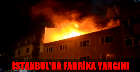 İstanbul'da fabrika yangını