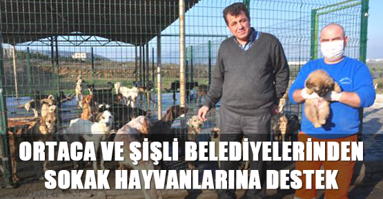 Ortaca ve Şişli Belediyelerinden sokak hayvanlarına destek