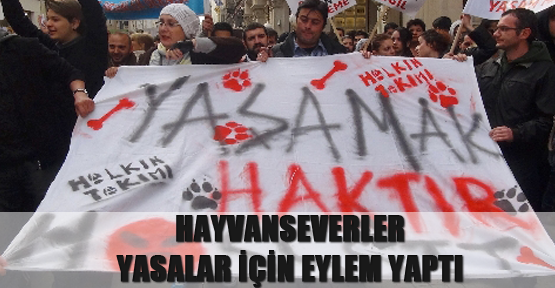 Hayvanseverler, TBMM'de bekleyen yasaların geri çekilmesi için eylem yaptı