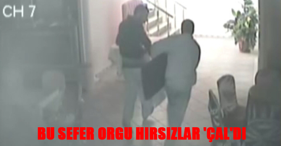 Bu sefer orgu hırsızlar 'çal'dı
