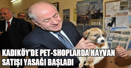 Kadıköy'de Pet-shoplarda Hayvan Satışı Yasağı Başladı