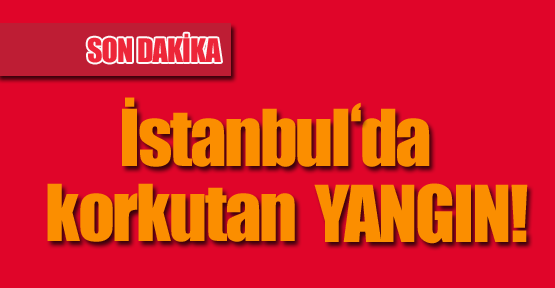 İstanbul'da Korkutan Yangın