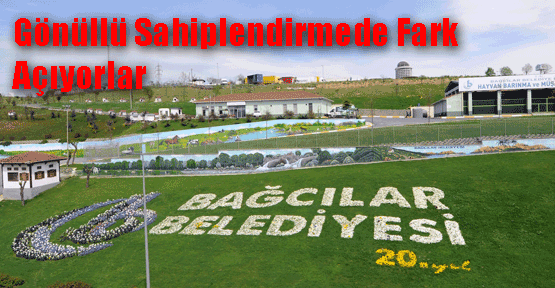 5 Yılda 773 köpek sahiplendirildiler