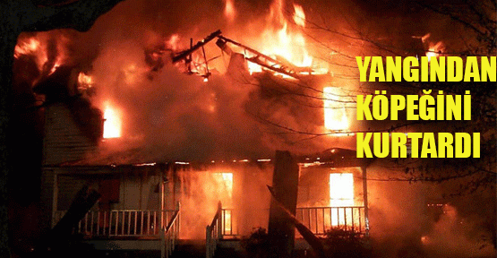 Alevlerin Arasından Köpeğini Kurtardı