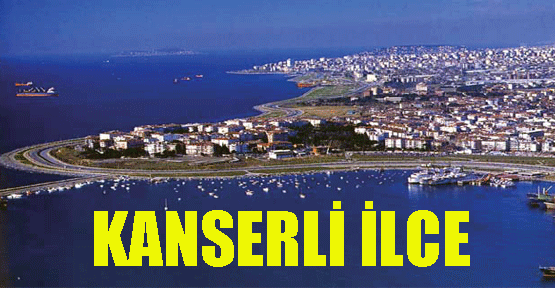 Pendik'te 6 yılda 1459 kişi kanserden öldü