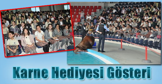 Karne Hediyesi Gösteri