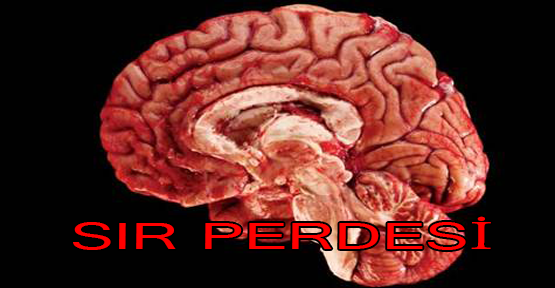 Sır perdesi aralandı