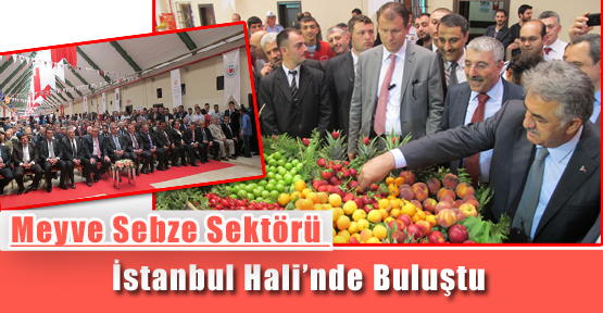 Meyve Sebze Sektörü İstanbul Hali’nde Buluştu