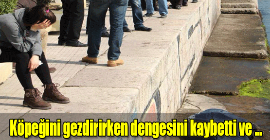 Köpeğiniz gezdirirken dengesini kaybetti ve...